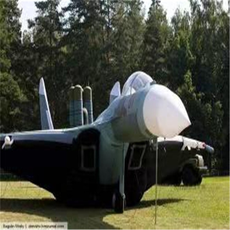 海南充气模型飞机制造商家